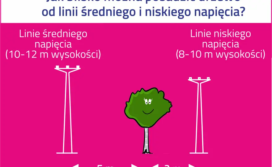 Bezpieczna odległość od sieci trakcyjnej - Jak ją rozumieć?