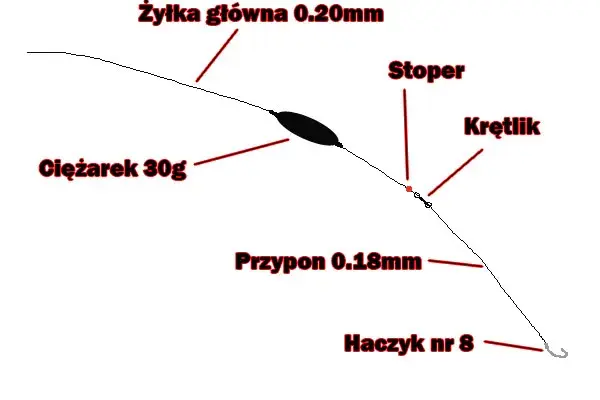 Wędka gruntowa: Uzbrój ją perfekcyjnie. Poradnik krok po kroku