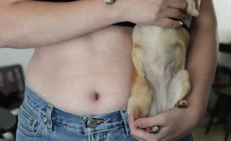 Do Dogs Have Belly Buttons? What's Normal & When to Worry