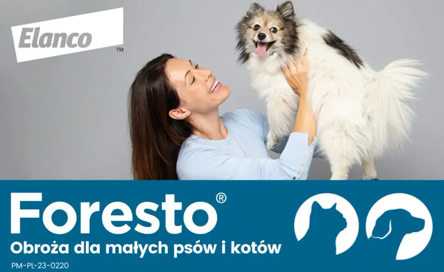 Jak założyć psu obrożę przeciwpchelną i uniknąć błędów w aplikacji
