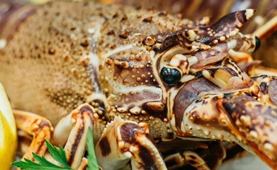 Langosta gigante - cómo elegirla y cocinarla sin secarla