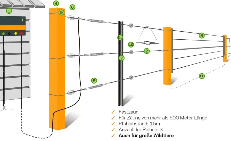 Weidezaun Rinder - Vorschriften, Aufbau & Sicherheit