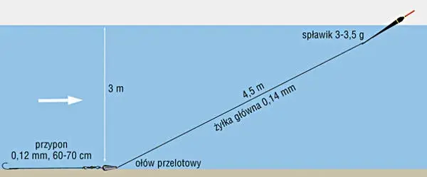 Wędka bolonka do czego służy – skuteczne metody łowienia ryb