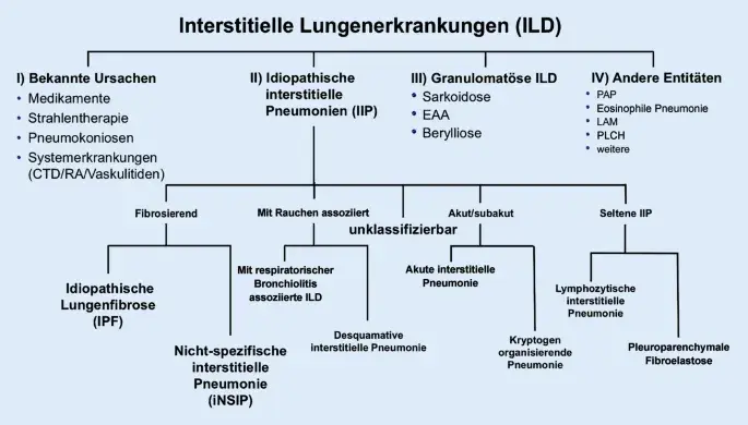 Lungenerkrankungen diagnostik: Wichtige Verfahren zur Früherkennung