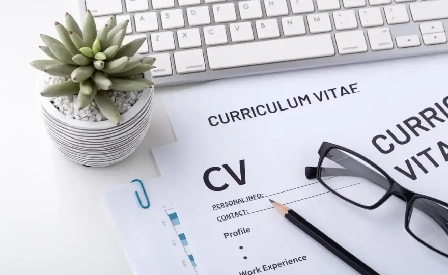 Edukacja w CV - Dyplom czy praktyka? Co liczy się w karierze?