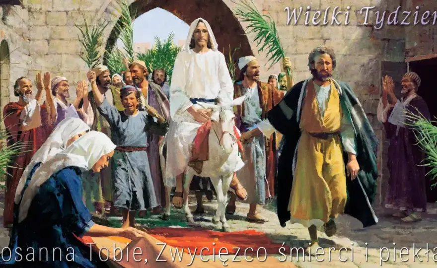 Aklamacja - co to jest i kiedy ma sens? Zrozum różnice!