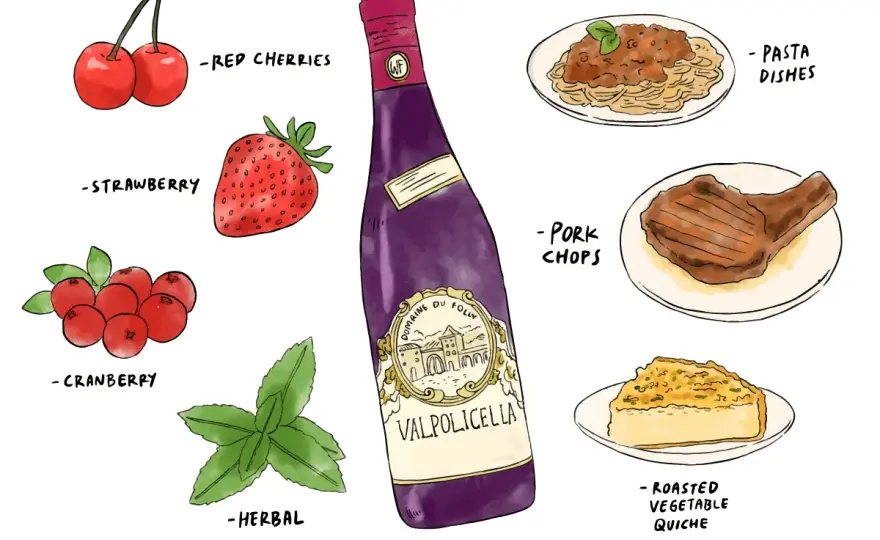 Valpolicella Ripasso - Wino idealne? Jak wybrać i z czym łączyć?