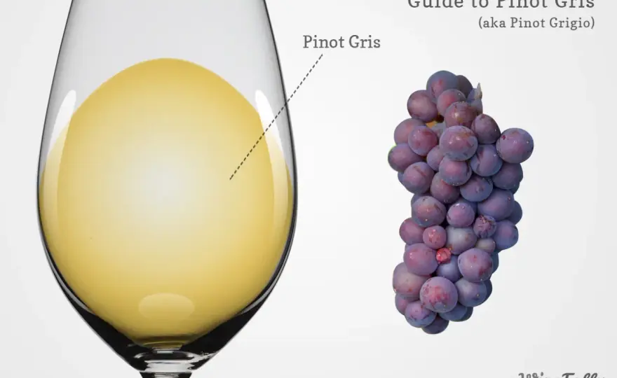 Grauburgunder, Pinot Grigio, Pinot Gris - Ein Wein, viele Gesichter