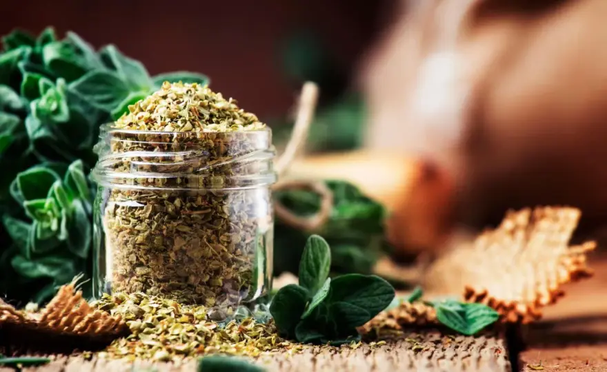 Oregano trocknen - so bleibt das Aroma wirklich erhalten