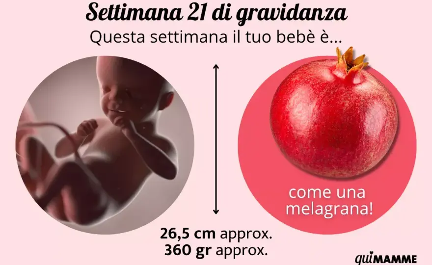Movimenti fetali a 21 settimane - Quando preoccuparsi?