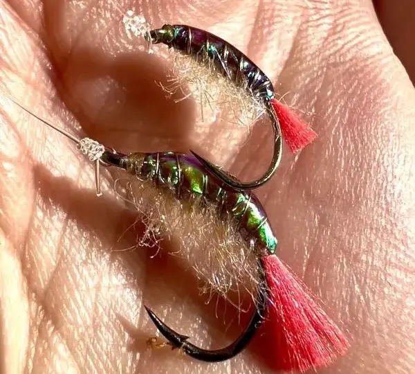 Na co biorą ryby? Wybierz idealną przynętę i łów więcej!