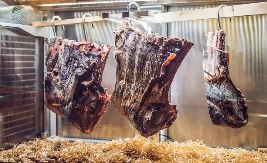 Fermentiertes Fleisch - was wirklich für sichere Reifung zählt