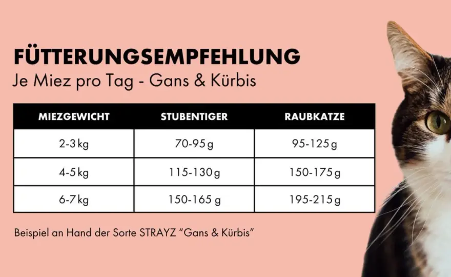Katzenfutter richtig berechnen - Tabelle für Nass- und Trockenfutter