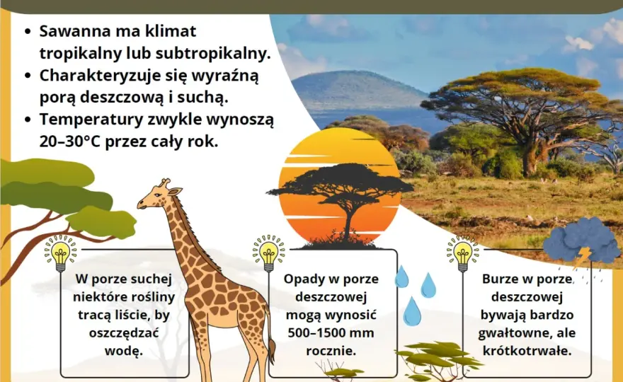 Sawanna - klimat, roślinność i różnice wobec stepu