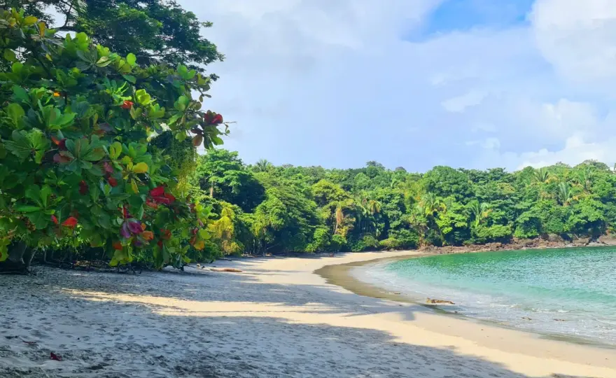 Qué ver en Manuel Antonio y cómo aprovechar la visita
