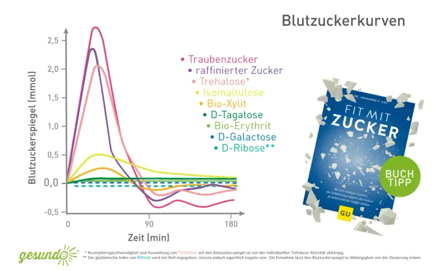 Braucht der Mensch Zucker überhaupt? Was der Körper wirklich braucht