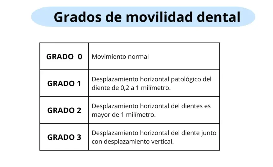 ¿Diente flojo? Entiende los grados de movilidad dental y sus causas