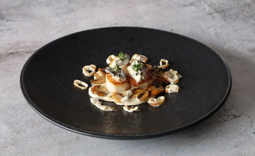Saint-Jacques aux morilles - Le vin blanc parfait?