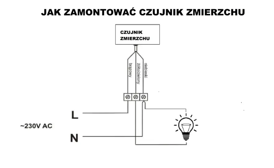 Jak ustawić czujnik ruchu i zmierzchu - Krok po kroku i bez problemów