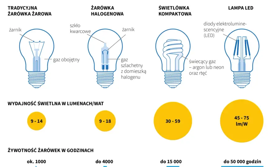 Gdzie wyrzucić żarówki? Rodzaj ma znaczenie! Poradnik eksperta