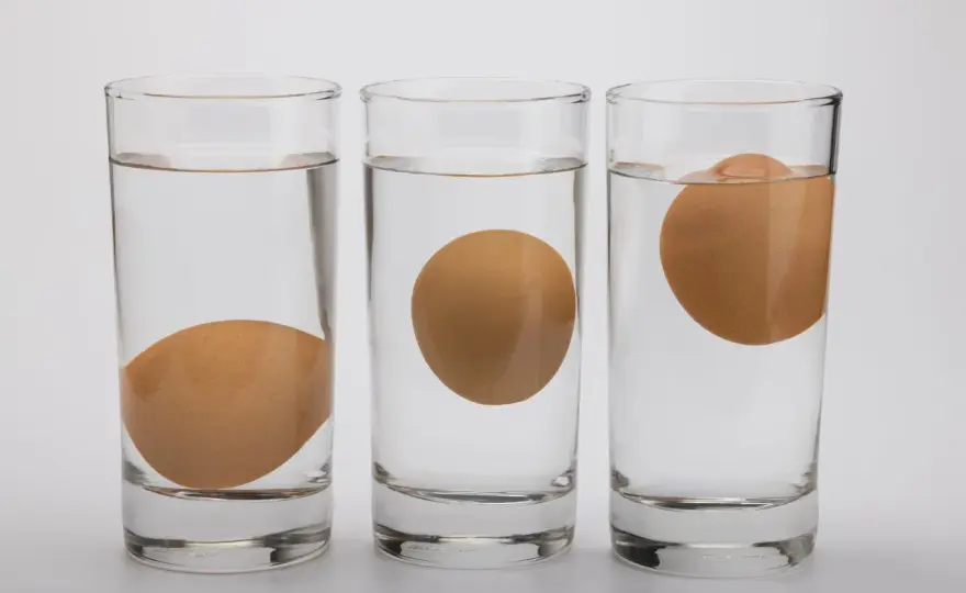 Œuf qui flotte ? Comment lire le test du verre d’eau