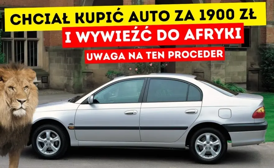 Skup samochodów do Afryki: Jak korzystnie sprzedać auto firmie?