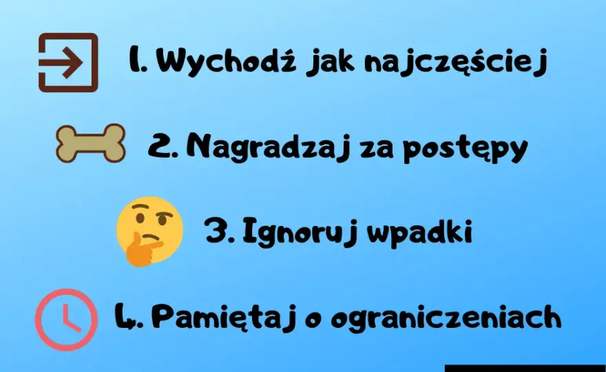 Nauka czystości szczeniaka: Poznaj plan na dom bez wpadek!