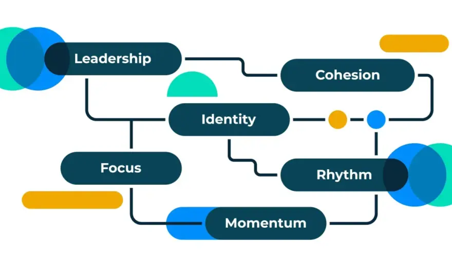 Improve Organizational Performance - 6 Levers for Real Growth