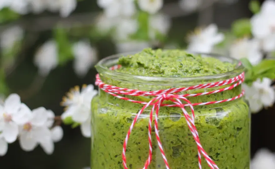Pesto z czosnku niedźwiedziego - przepis i sekrety smaku