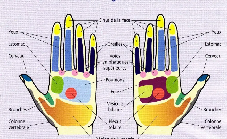 Acupression et hypertension - quels points masser prudemment ?