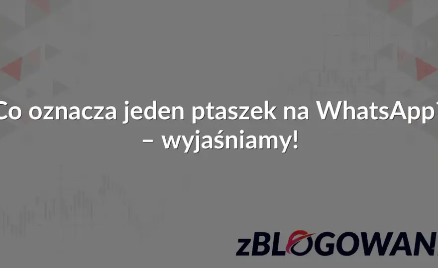 Jeden ptaszek WhatsApp - Co oznacza i kiedy to blokada?