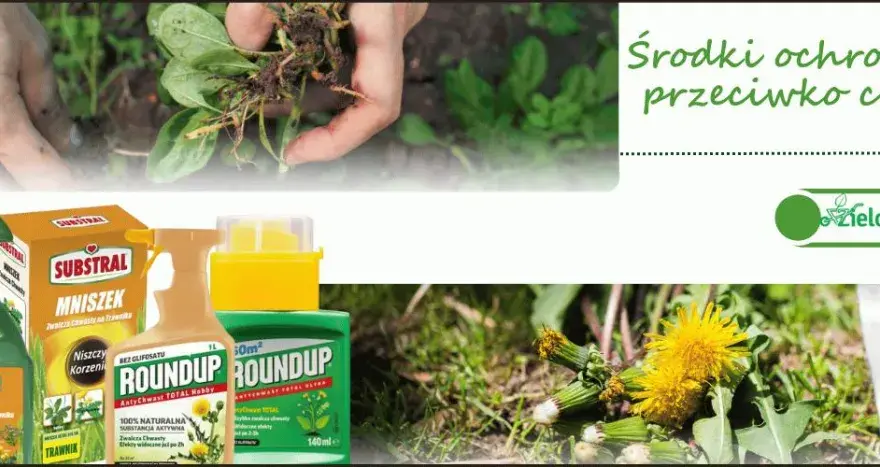 Agro-Chwast - bezpieczne nawozy i środki ochrony roślin dla Ciebie