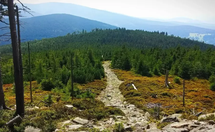 Czarna Góra - trasy z Puchaczówki i Międzygórza