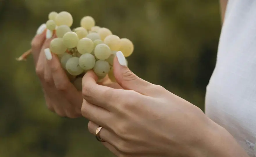 Soñar con uvas - ¿Qué significa realmente?