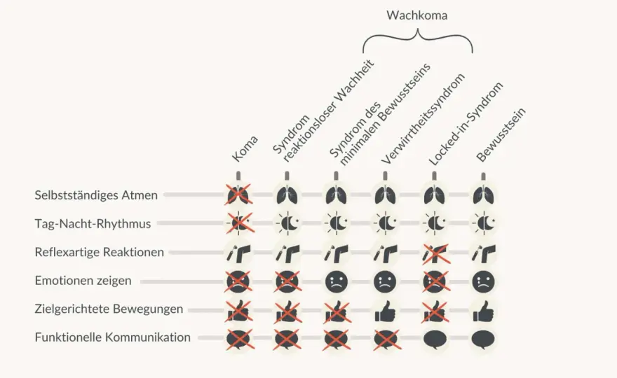 Wachkoma und Lebensende - Warnzeichen und wichtige Entscheidungen