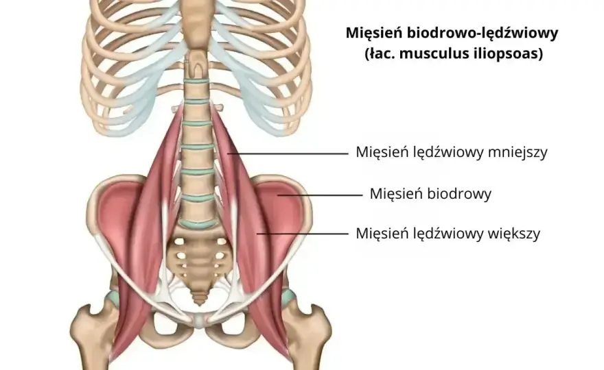 Ból pachwiny po bieganiu - skąd się bierze i jak wrócić bez nawrotu?