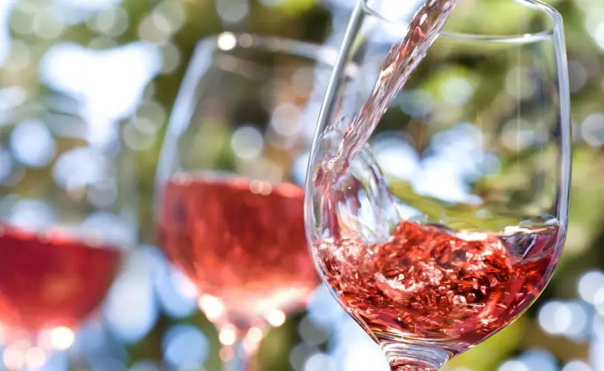 Vinification - Les secrets d'un grand vin révélés
