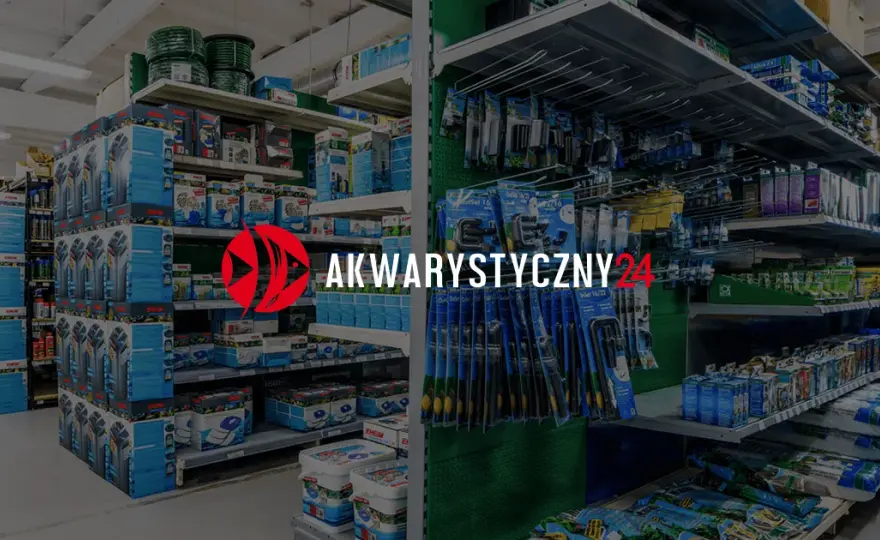 Najlepsze filtry do akwarium 120l – uniknij błędów w wyborze