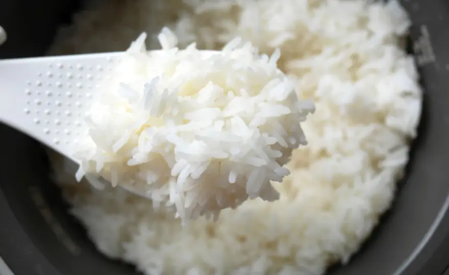 Pack Perfect Rice for Lunch - No More Soggy or Dry!