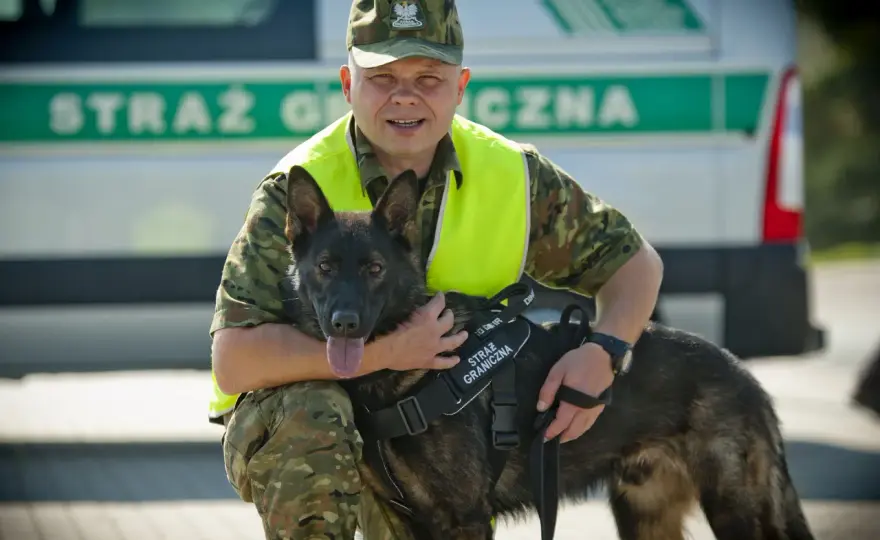 Psy służbowe w akcji - Wojsko, Policja, Straż Graniczna