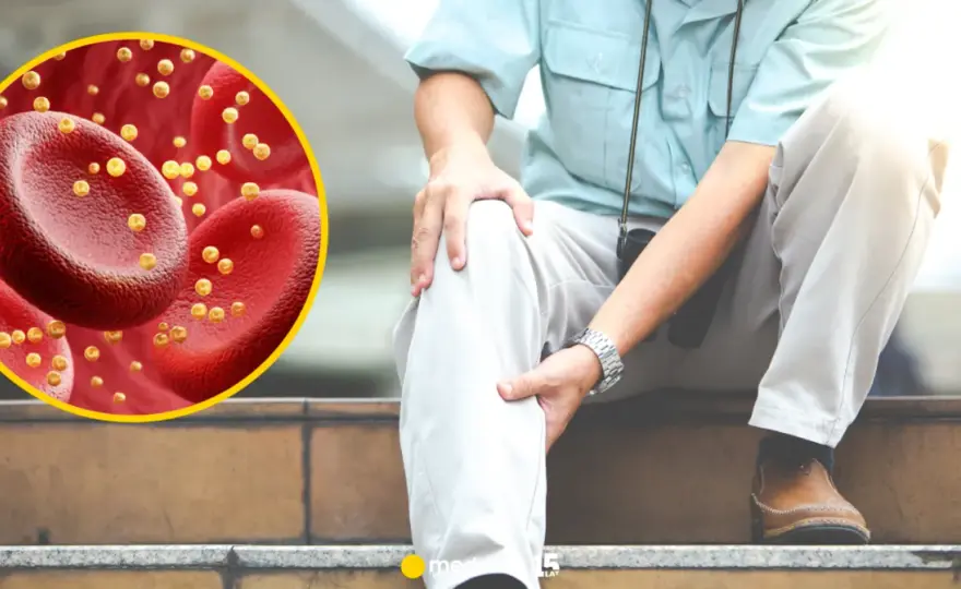 Wysoki cholesterol: Cichy zabójca. Poznaj skutki dla zdrowia!