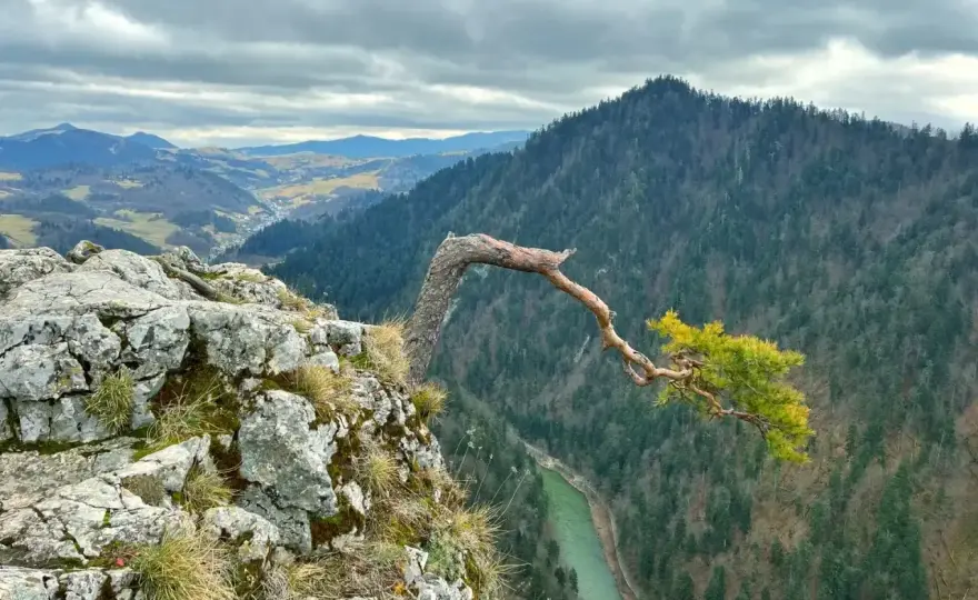 Bereśnik nad Szczawnicą - trasy, widoki i praktyczne wskazówki