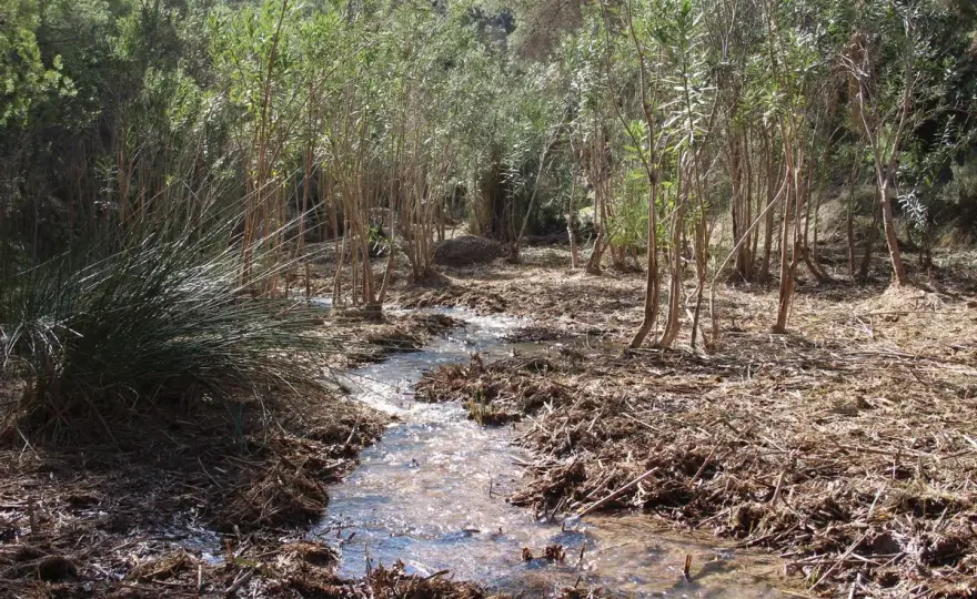 Río Chícamo - La ruta que no esperas en Murcia