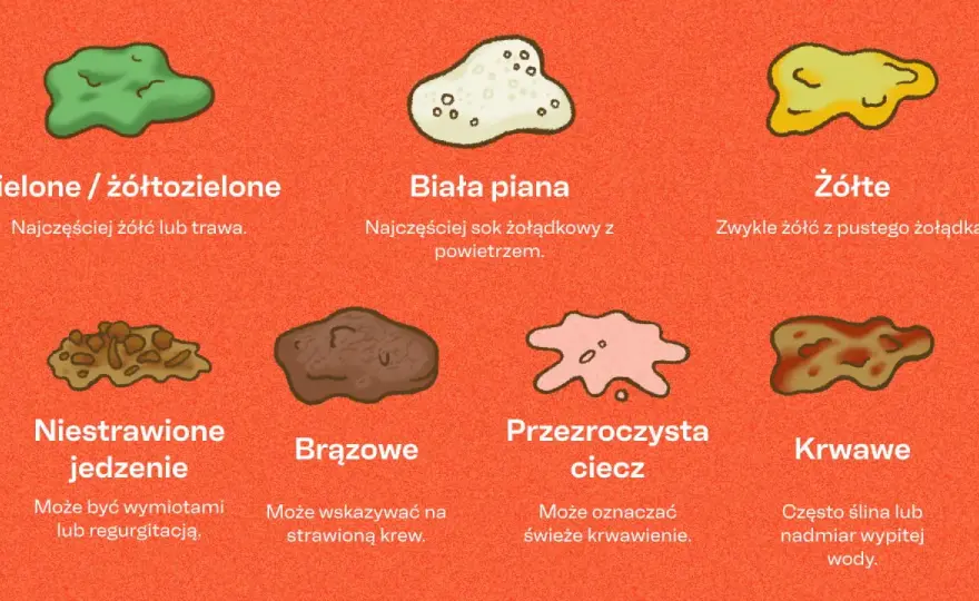 Pies zwraca niestrawione jedzenie - wymioty czy regurgitacja?