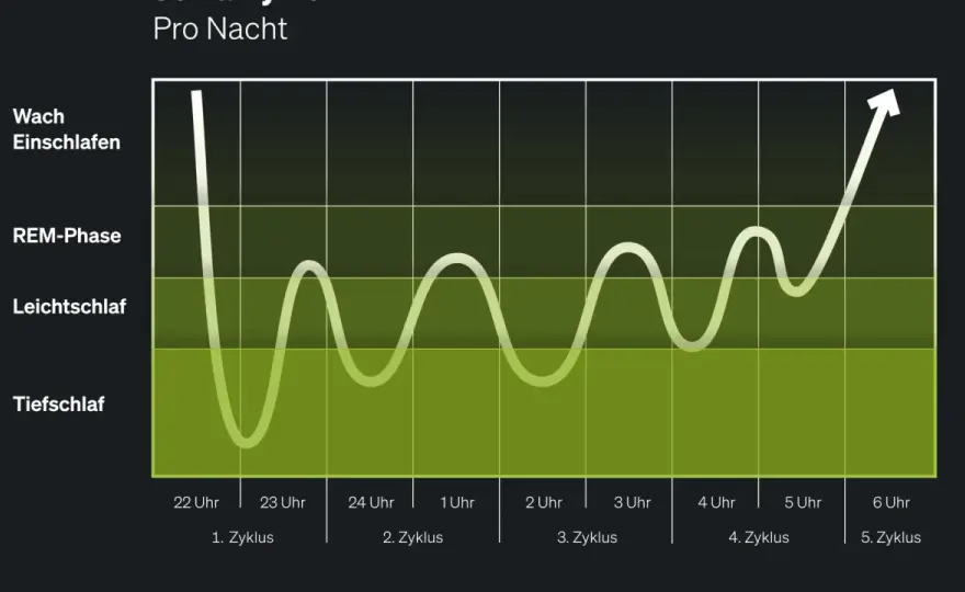 Sechs Stunden Schlaf - wann sie reichen und wann nicht