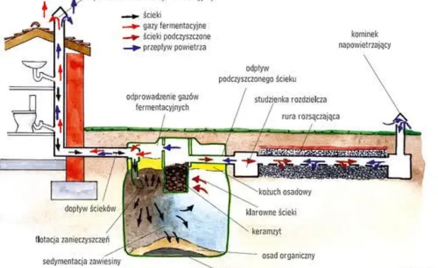 Jak działa przydomowa oczyszczalnia ścieków i którą wybrać?