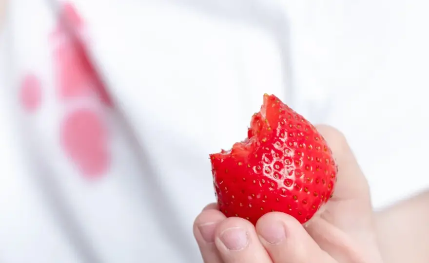 Jak usunąć plamy z truskawek? Skuteczne domowe sposoby