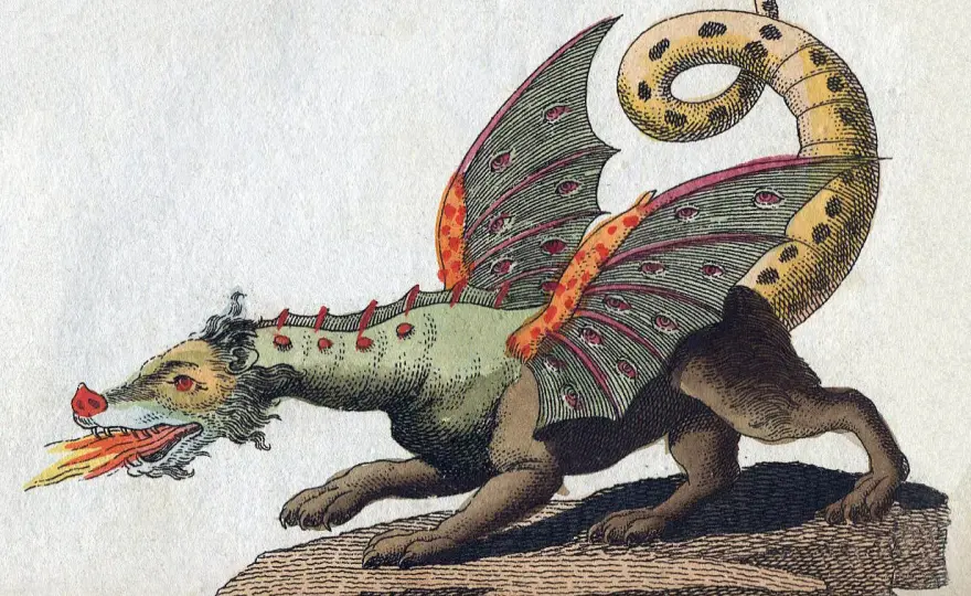 Medieval Dragons - More Than Monsters: Read Their True Meaning