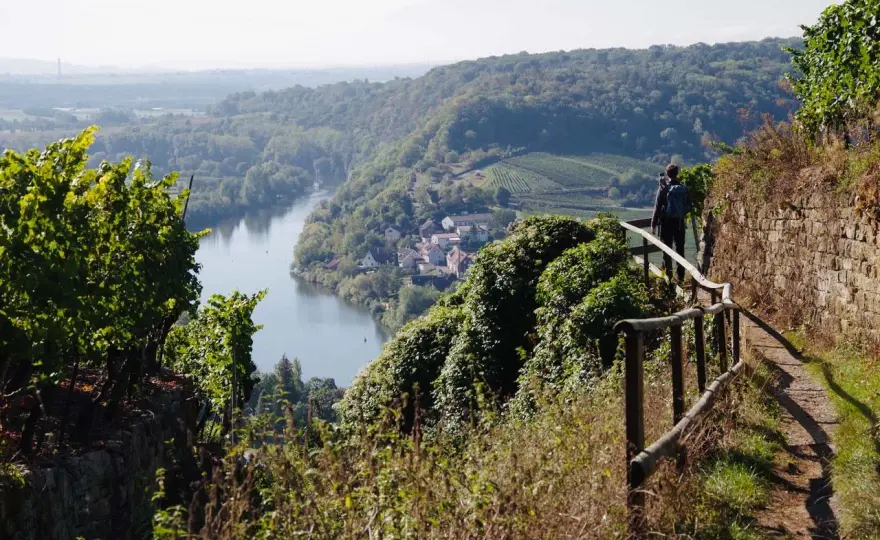 Wandern Ludwigsburg: Die besten Wege für jeden Ausflug
