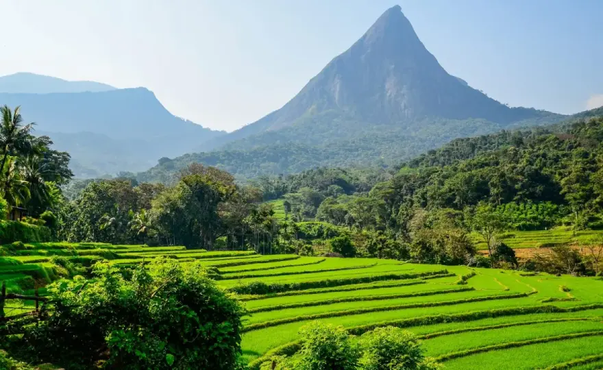 Sri Lanka w lipcu - pogoda. Gdzie jechać, by uniknąć deszczu?